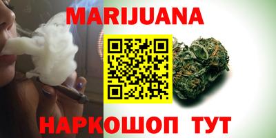 гашик Бузулук
